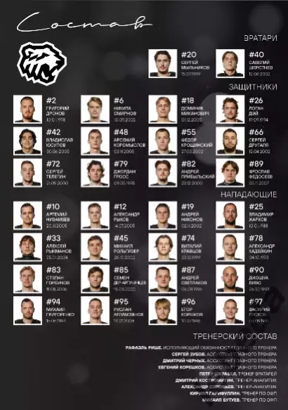 Трактор Челябинск - ЦСКА / Динамо Москва - 2025-2026 г. официальная. 2