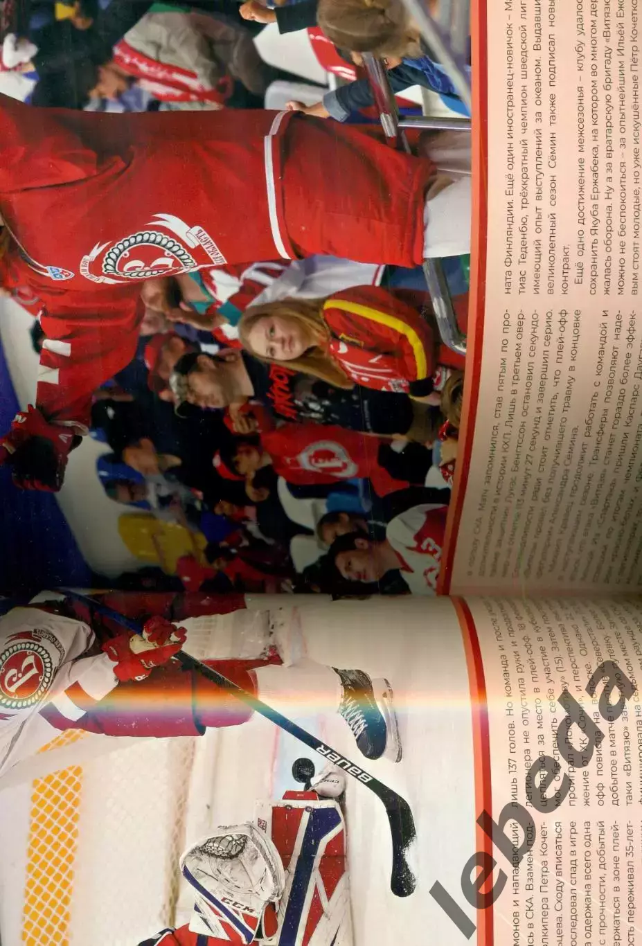 Витязь - 2020 г. подборка вырезок из журнала.Смотри фото. 2