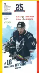 Нефтехимик Нижнекамск - Салават Юлаев Уфа / Металлург Магнитогорск - 2020 / 2021