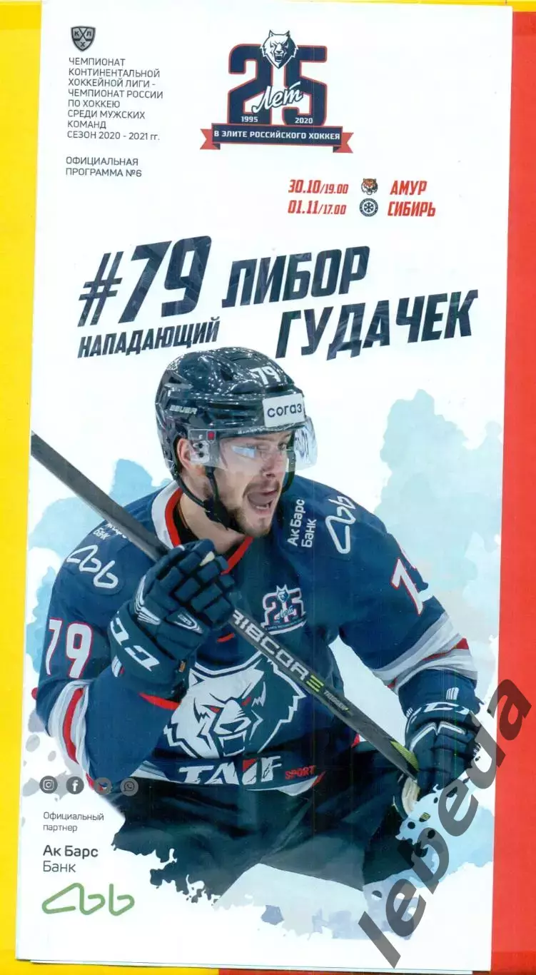 Нефтехимик Нижнекамск - Амур Хабаровск / Сибирь Новосибирск - 2020 / 2021 г.