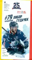 Нефтехимик Нижнекамск - Амур Хабаровск / Сибирь Новосибирск - 2020 / 2021 г.