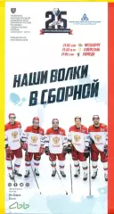 Нефтехимик Нижнекамск - Металлург МГ / Северсталь / Торпедо НН / - 2020 / 2021 г