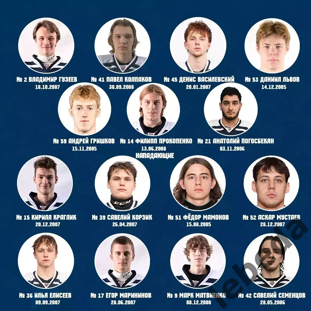 МХК Динамо Карелия - Алмаз Череповец - 2025-2026 год. (27.01.26.) Официальная. 4