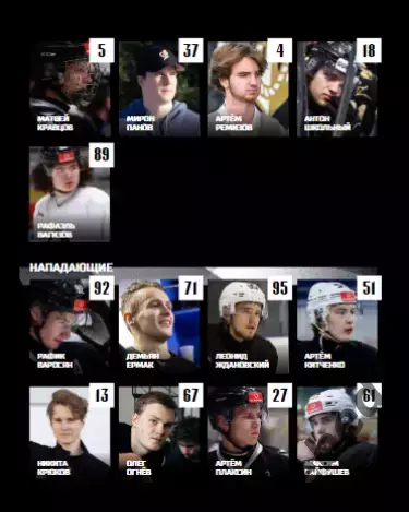 Тайфун Владивосток - МХК Динамо-Карелия - 2025 /2026. официальная 2