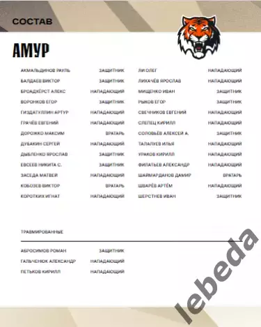 Адмирал Владивосток - Амур Хабаровск - 2025 / 2026 г.(03.01.26.) официальная 5