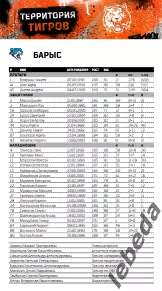 Амур Хабаровск - Нефтехимик / Салават Юлаев Уфа / Астана - 2025 /2026. Официальн 6