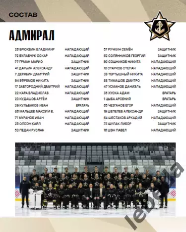 Адмирал Владивосток - Авангард Омск - 2025 / 2026 г.(11.02.26.) официальная 3