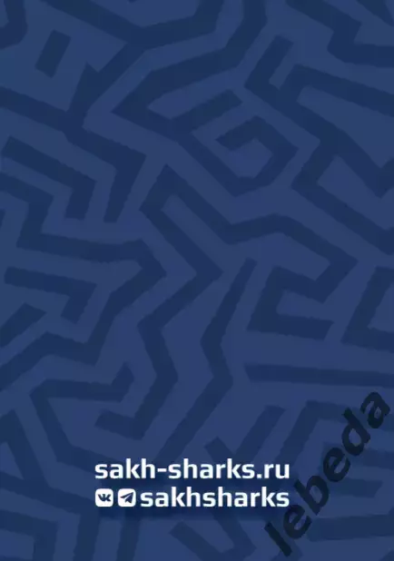Сахалинские Акулы - Динамо-Шинник - 2025 / 2026 год. (6.03.26.) Официальная. 7