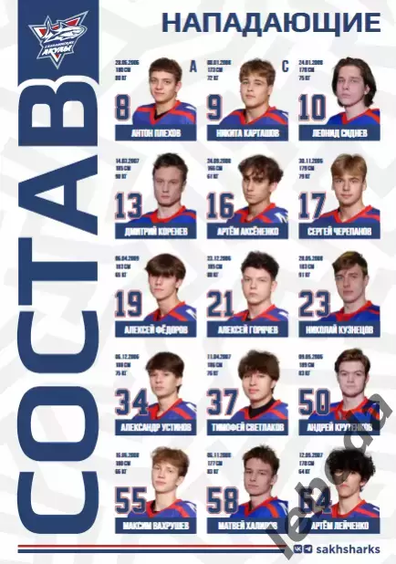 Сахалинские Акулы - Красная Машина - 2025 / 2026 год. (1.03.26.) Официальная. 3