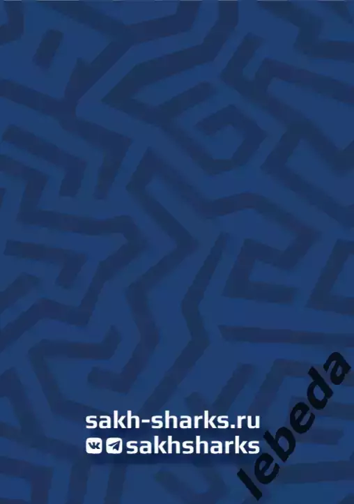 Сахалинские Акулы - Красная Армия (Москва) - 2025 / 2026 год. (20.09.25.) 7