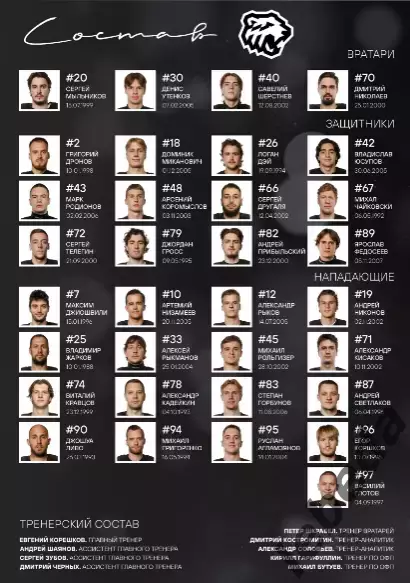 Трактор Челябинск - Салават Юлаев / Северсталь / Лада - 2025-2026. официальная 1