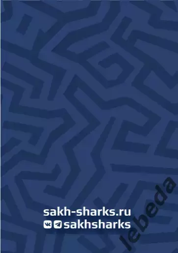 Сахалинские Акулы - д-Шинник Бобруйск - 2025 / 2026 год. (06.03.26.) 6