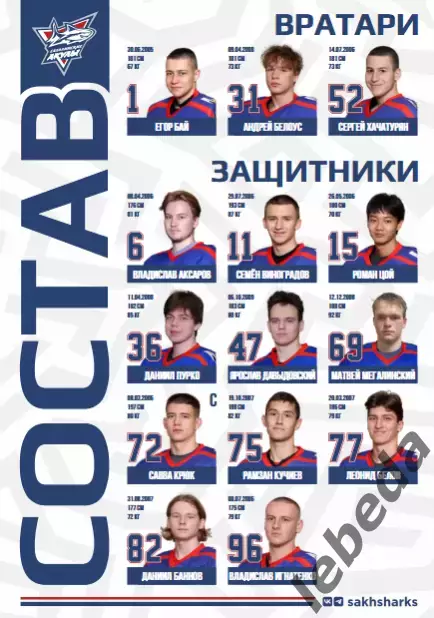 Сахалинские Акулы - Амурские Тигры Хабаровск - 2025 / 2026 год. (17-18.03.26.) 2