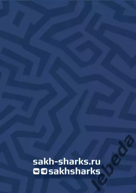 Сахалинские Акулы - Амурские Тигры Хабаровск - 2025 / 2026 год. (17-18.03.26.) 7