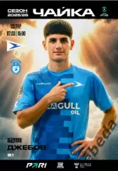 Чайка песчанокопск - Сокол Саратов- 2025 / 2026 г. (07.03.26.) Официальная.