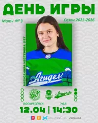 Торнадо Воскресенск - Агидель Уфа - 2025 / 2026.(12.04.26) Плей-офф игр №3