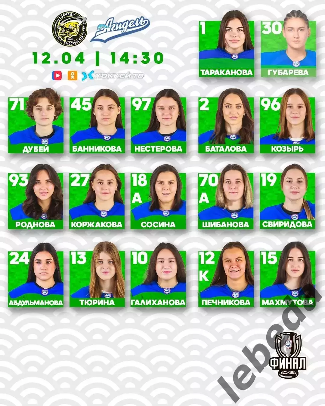 Торнадо Воскресенск - Агидель Уфа - 2025 / 2026.(12.04.26) Плей-офф игр №3 2