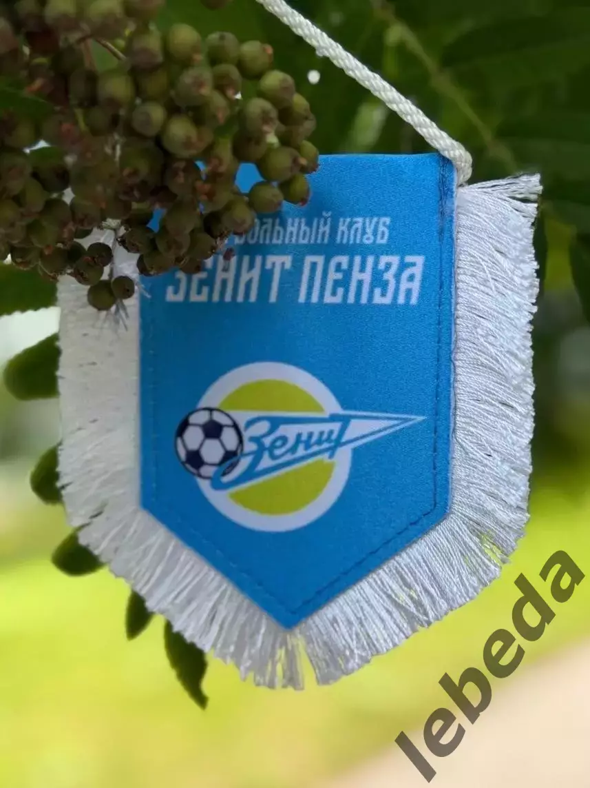 Зенит Пенза - СКА-2 Хабаровск - 2026 / 2027 г. (5.08.2026.) 3