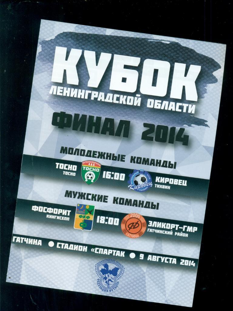 Кингисепп - Гатчина/ Тосно - Тихвин-2014. Финал кубка Санкт-Петербург- 2014 г.