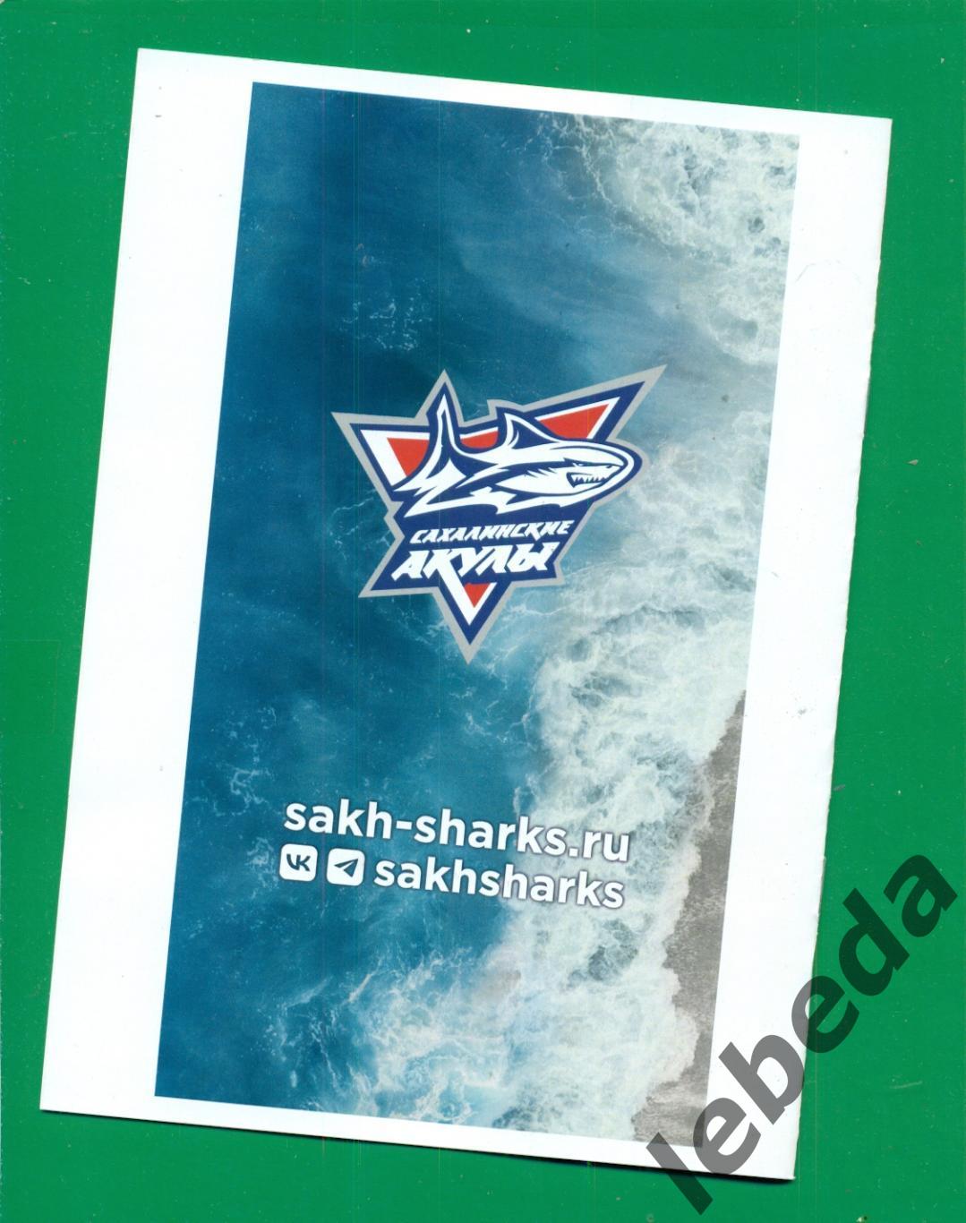 Сахалинские Акулы (Южный Сахалин) - СКА Карелия Кондопога - 2022 /2023 год. 6