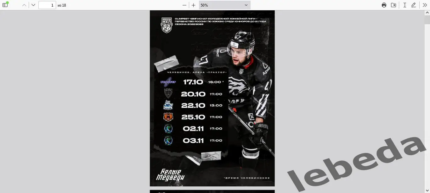 Белые Медведи Челябинск - Реактор Новосибирск Новокузнецк Пермь- 2022 / 2023.