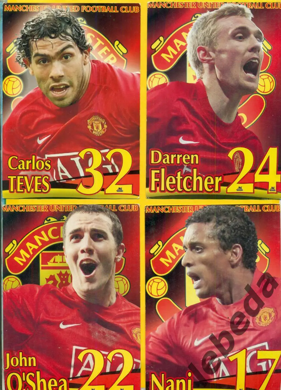 Оуэн Харгривз (OWEN HARGREAVES №4) Серия Собери команду Манчестер MANCHESTE 5