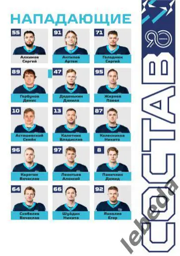 ХК Норильск - Челны / Нефтяник Альмет / Ирбис Казань - 2024 / 2025 . официальная 4