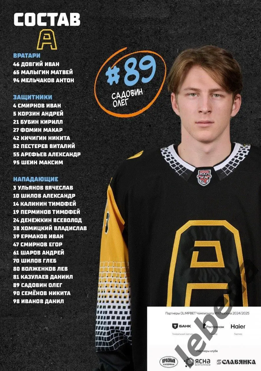 Динамо Шинник (Бобруйск) - Алмаз Череповец - 2024 / 2025. (29.01.25) Официал. 2