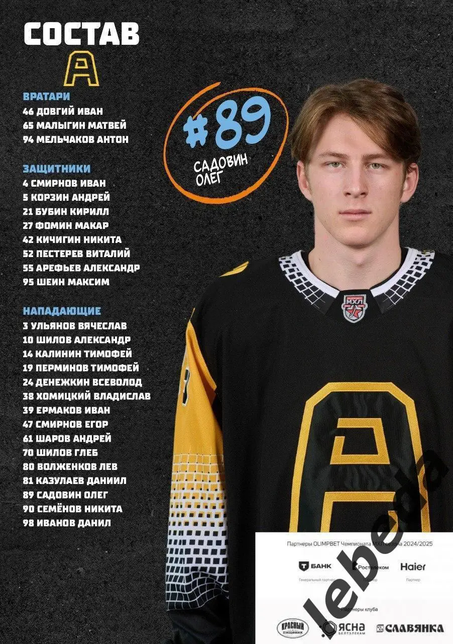 Динамо Шинник (Бобруйск) - Алмаз Череповец - 2024 / 2025. (29.01.25) Официал. 2