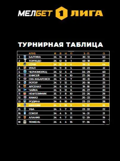 ФК Сочи - Шинник Ярославль - 2024 /2025 г. (13.03.25.) официальная. 2
