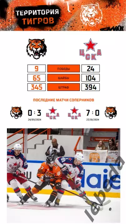 Амур Хабаровск - Динамо Москва / ЦСКА - 2025 /2026. Официальная 5