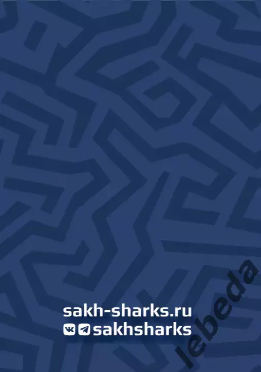 Сахалинские Акулы - МХК Спартак Москва - 2025 / 2026 год. (29.09.25.) 7