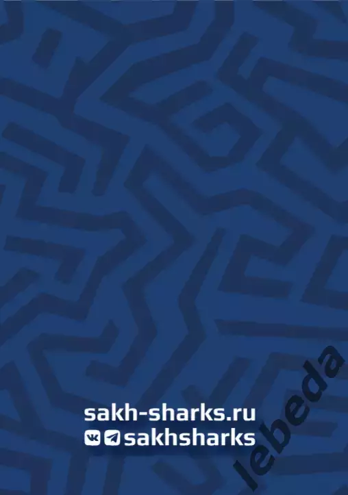 Сахалинские Акулы - Красная Армия (Москва) - 2025 / 2026 год. (20.09.25.) 7