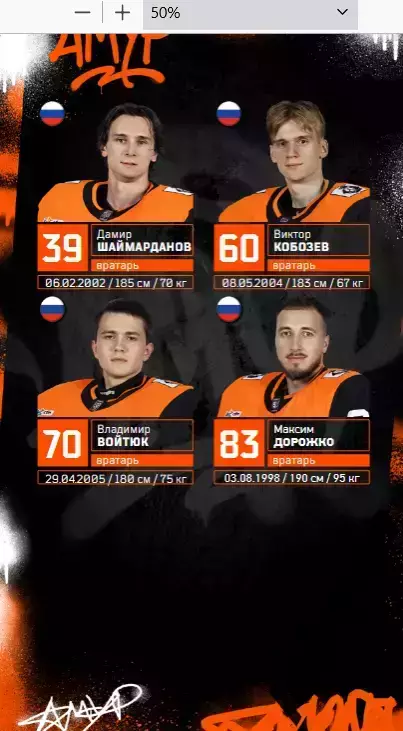 Амур Хабаровск - Динамо Москва / ЦСКА - 2025 /2026. Официальная 2