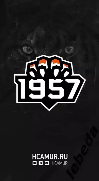 Амур Хабаровск - Динамо Москва / ЦСКА - 2025 /2026. Официальная 7