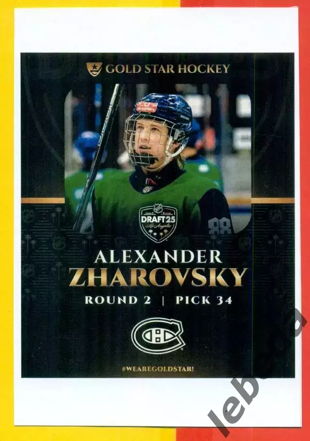 Жаровский Александр. 2025 г. Салават Юлаев.