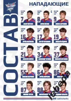 Сахалинские Акулы - Динамо Москва - 2025 / 2026 год. (4-5.10.25.) Официальная. 2
