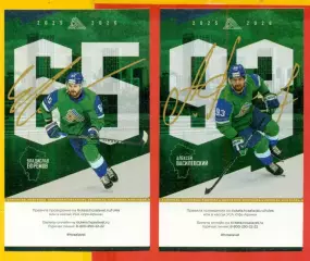 Салават Юлаев Уфа - Северсталь - 2025 / 2026 г. (28.12.25.) Билеты два вида.