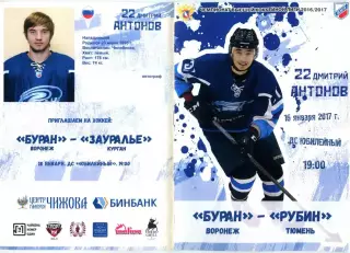ВХЛ 2016/2017 ХК Буран (Воронеж)vs Рубин (Тюмень) 16 января 2017