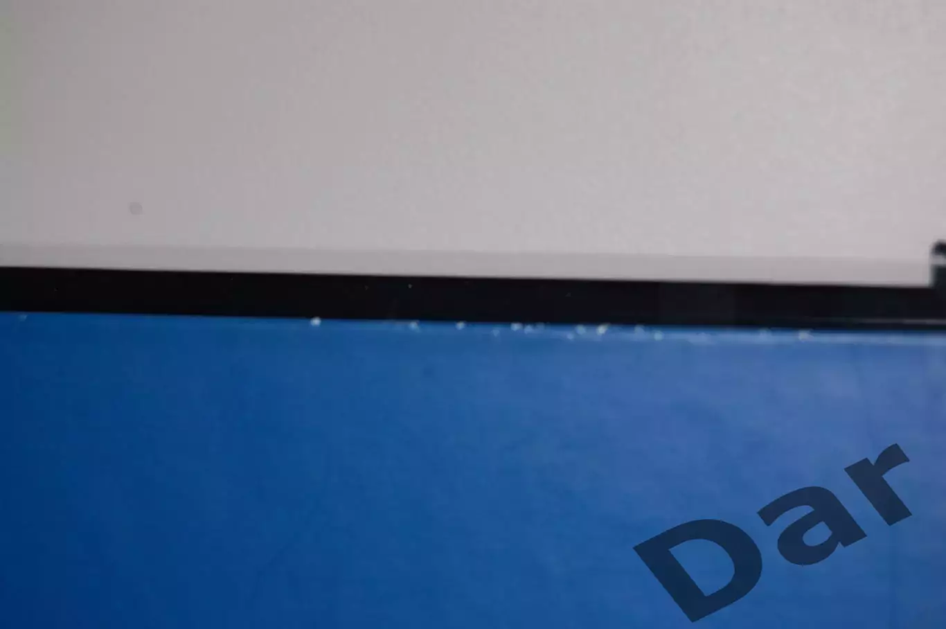 Зенит Рожденные в Ленинграде. Санкт-Петербург 2021 год. Фанаты Зенита 4