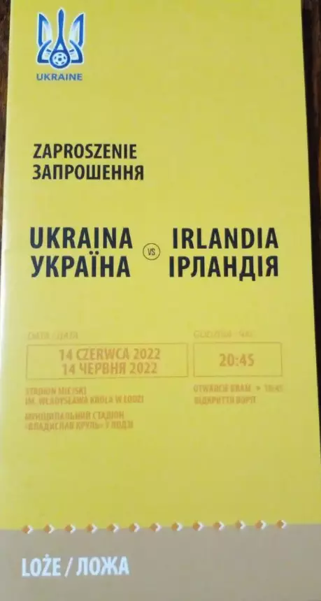 Украина-Ирландия-2022 ВИП