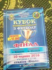 Патриот-ФК Винница финал кубка винницкой области-2016