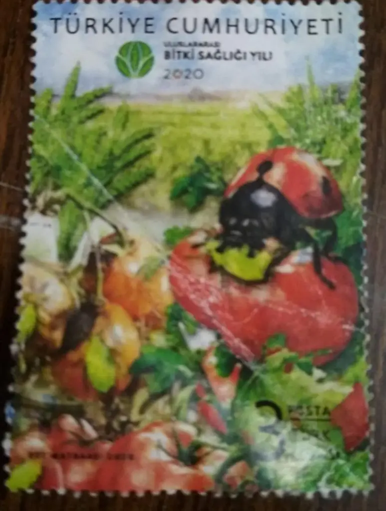 Турция-природа