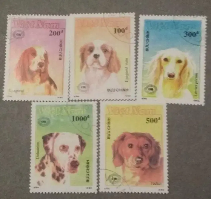 Собаки Блок-2