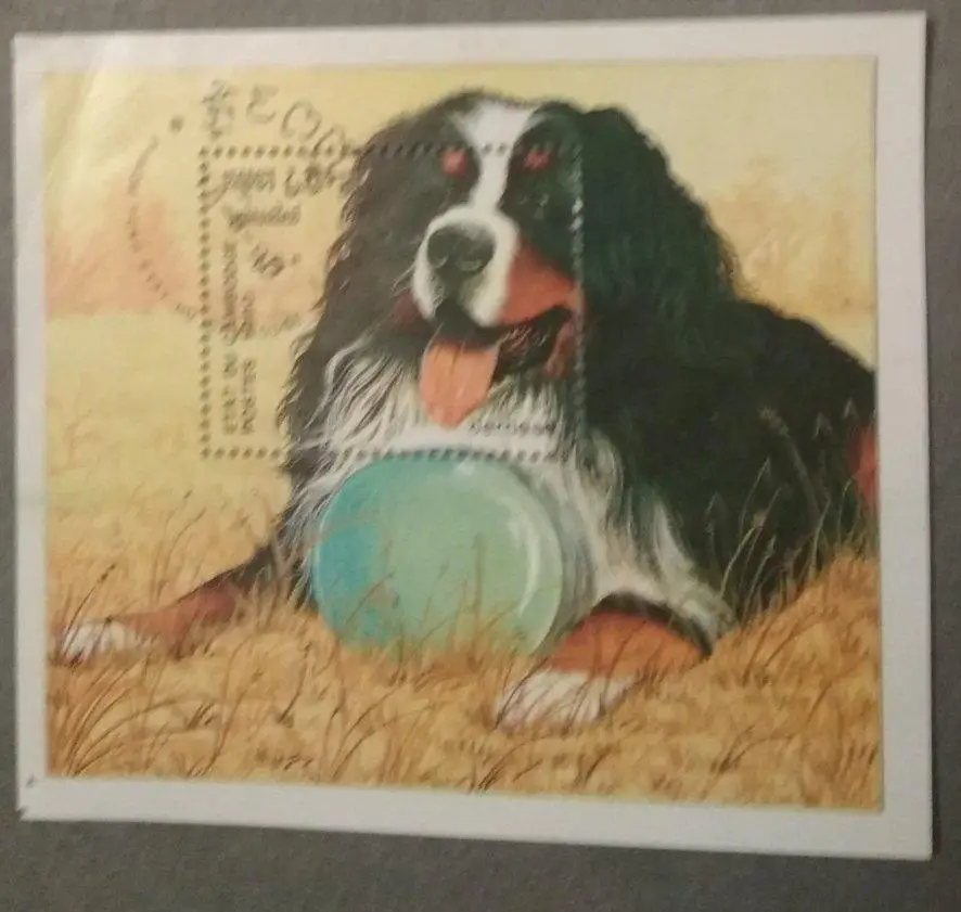 Собаки-Камбоджа-1990