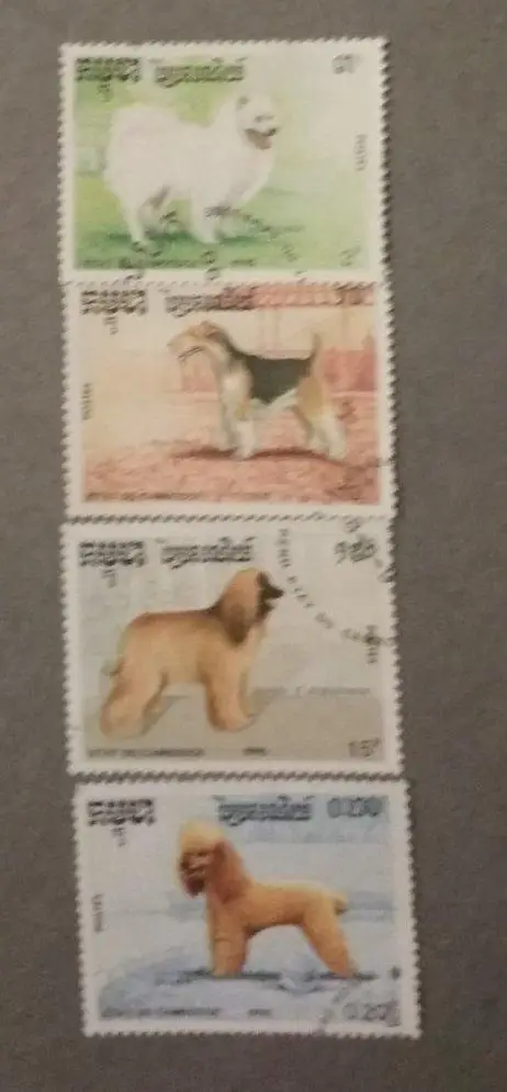 собаки Блок-3