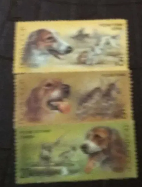 Собаки-русская борзая.гончая и спаниель