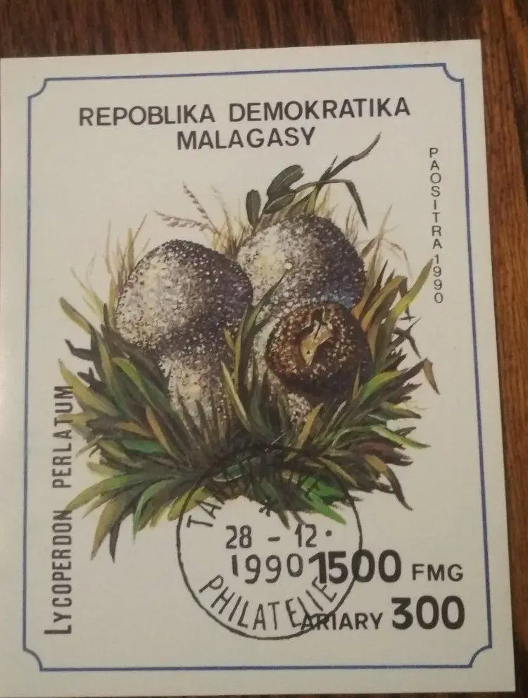 Грибы Демократ республика Малагайзия