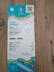 Турция - Уэльс -2021 г. БакуЕвро -2020