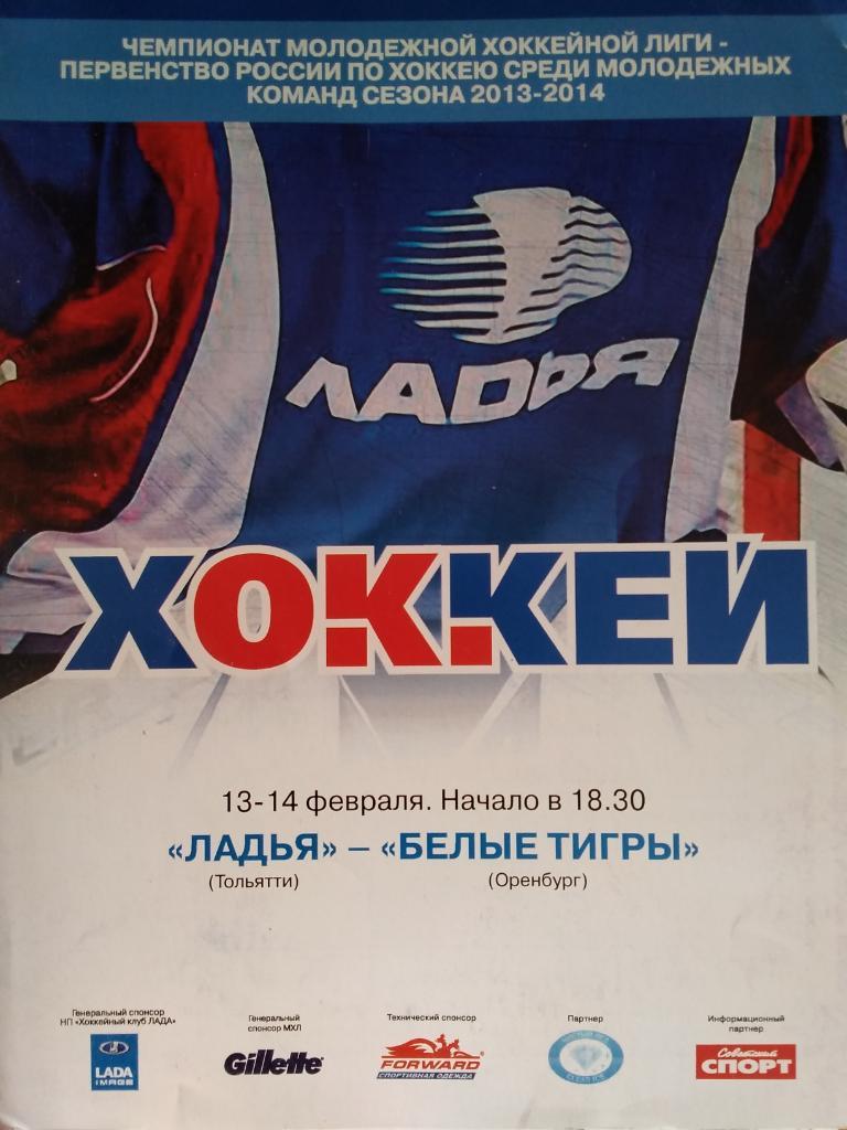Ладья (Тольятти)-Белые Тигры (Оренбург). 13-14 февраля 2014.